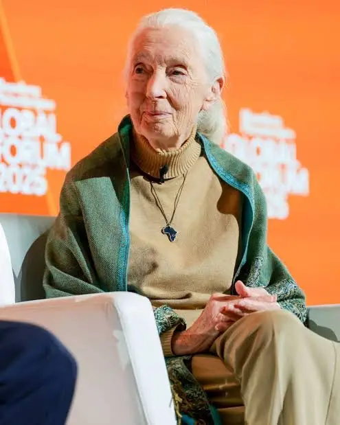 Jane Reeb Farrintii ay Dr. Jane Goodall u reebtay adduunka - Raadreeb